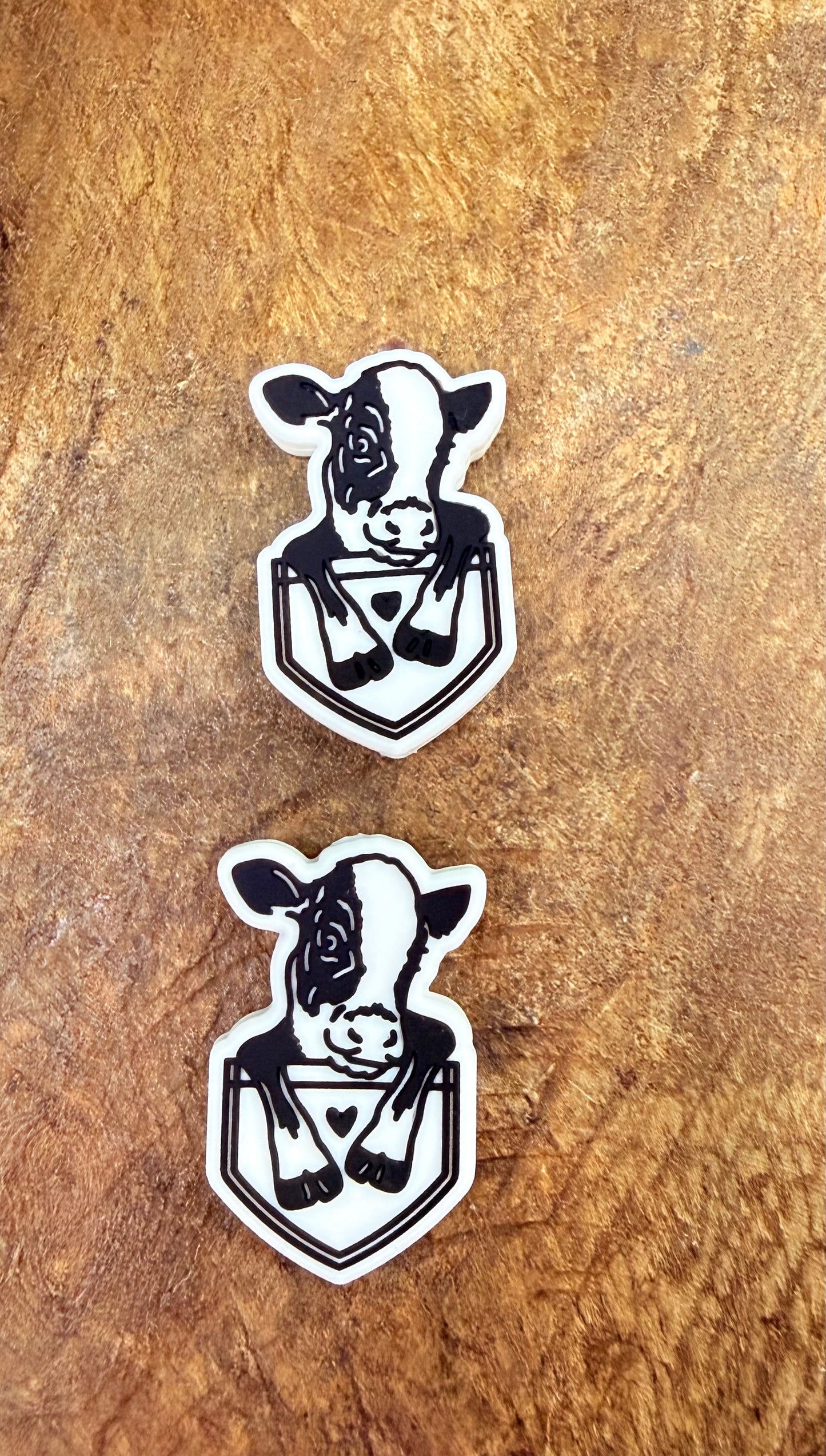 Cow in a pocket Focal (custom)