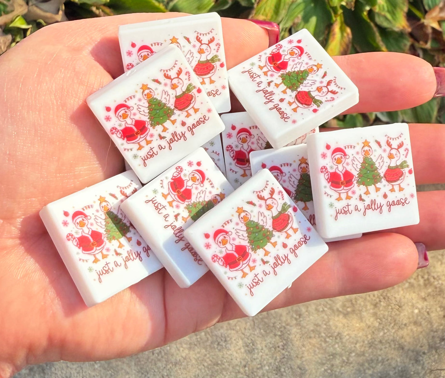 Just a silly Goose Focal