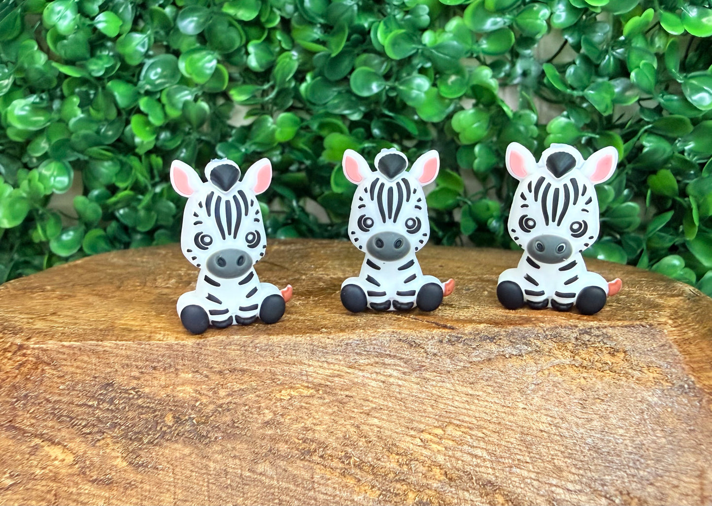 3D Zebra focal